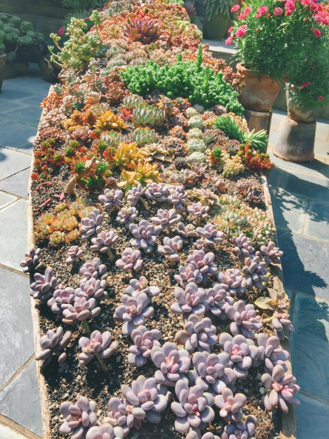 中国最文艺比丘尼道场_|_一花一木、一砖一瓦,语默动静体自然,…… 中国最文艺比丘尼道场_|_一花一木、一砖一瓦,语默动静体自然,……