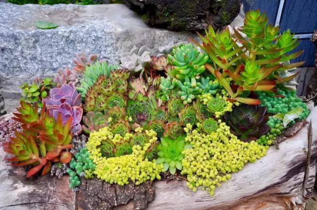 中国最文艺比丘尼道场_|_一花一木、一砖一瓦,语默动静体自然,…… 中国最文艺比丘尼道场_|_一花一木、一砖一瓦,语默动静体自然,……