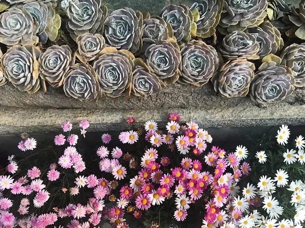 中国最文艺比丘尼道场_|_一花一木、一砖一瓦,语默动静体自然,…… 中国最文艺比丘尼道场_|_一花一木、一砖一瓦,语默动静体自然,……