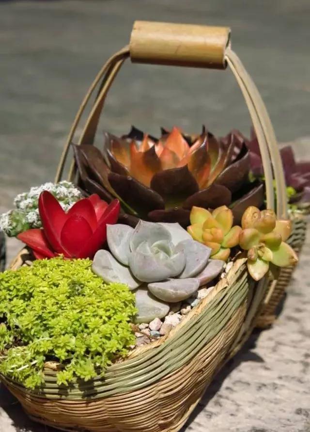 中国最文艺比丘尼道场_|_一花一木、一砖一瓦,语默动静体自然,…… 中国最文艺比丘尼道场_|_一花一木、一砖一瓦,语默动静体自然,……