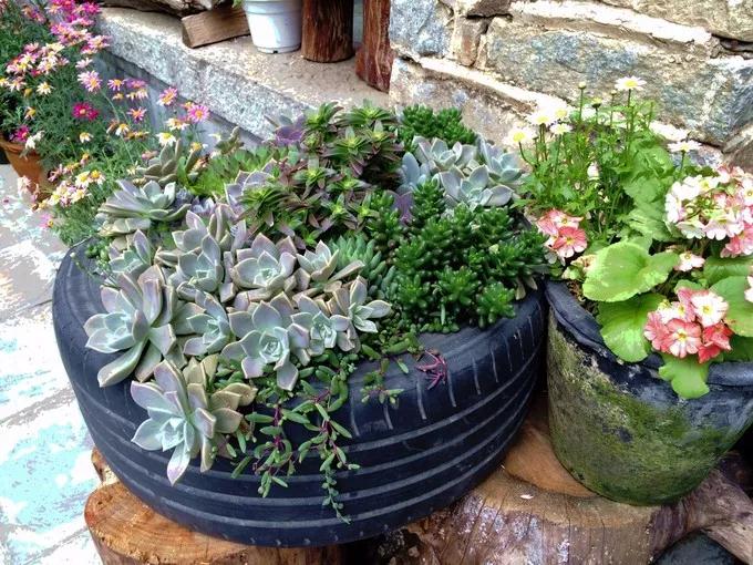 中国最文艺比丘尼道场_|_一花一木、一砖一瓦,语默动静体自然,…… 中国最文艺比丘尼道场_|_一花一木、一砖一瓦,语默动静体自然,……