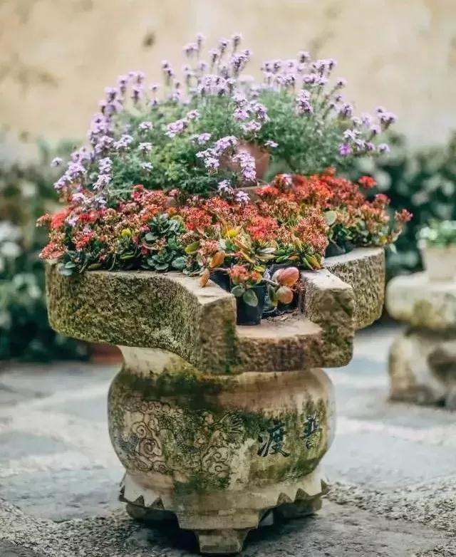 中国最文艺比丘尼道场_|_一花一木、一砖一瓦,语默动静体自然,…… 中国最文艺比丘尼道场_|_一花一木、一砖一瓦,语默动静体自然,……