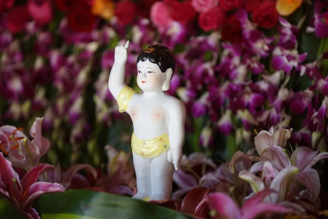 中国最文艺比丘尼道场_|_一花一木、一砖一瓦,语默动静体自然,…… 中国最文艺比丘尼道场_|_一花一木、一砖一瓦,语默动静体自然,……