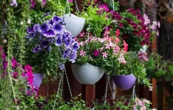 中国最文艺比丘尼道场_|_一花一木、一砖一瓦,语默动静体自然,…… 中国最文艺比丘尼道场_|_一花一木、一砖一瓦,语默动静体自然,……