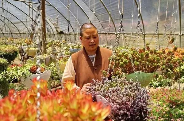 中国最文艺比丘尼道场_|_一花一木、一砖一瓦,语默动静体自然,…… 中国最文艺比丘尼道场_|_一花一木、一砖一瓦,语默动静体自然,……