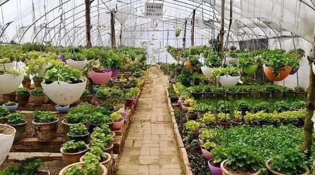 中国最文艺比丘尼道场_|_一花一木、一砖一瓦,语默动静体自然,…… 中国最文艺比丘尼道场_|_一花一木、一砖一瓦,语默动静体自然,……