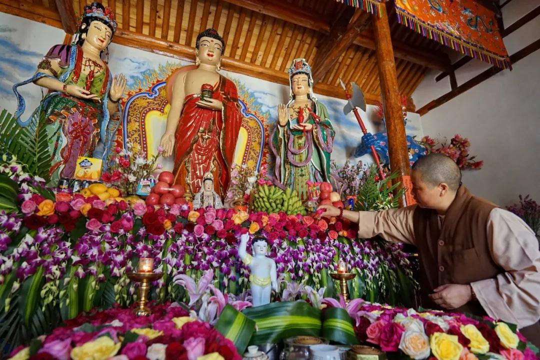 中国最文艺比丘尼道场_|_一花一木、一砖一瓦,语默动静体自然,…… 中国最文艺比丘尼道场_|_一花一木、一砖一瓦,语默动静体自然,……