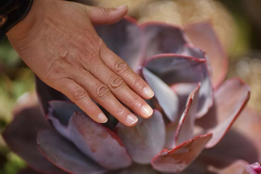 中国最文艺比丘尼道场_|_一花一木、一砖一瓦,语默动静体自然,…… 中国最文艺比丘尼道场_|_一花一木、一砖一瓦,语默动静体自然,……