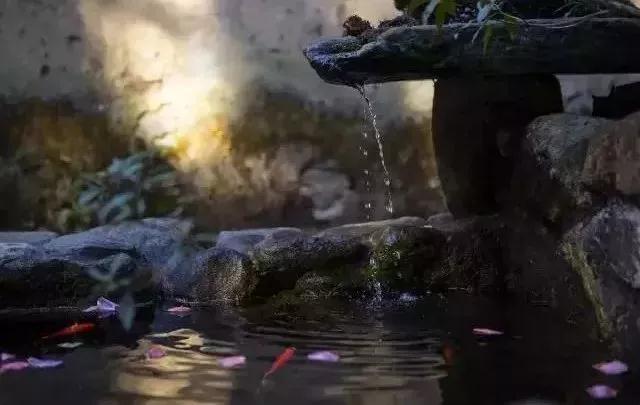 中国最文艺比丘尼道场_|_一花一木、一砖一瓦,语默动静体自然,…… 中国最文艺比丘尼道场_|_一花一木、一砖一瓦,语默动静体自然,……