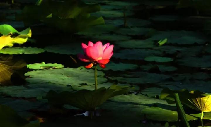 ����_|_��������߾����Ǻ��