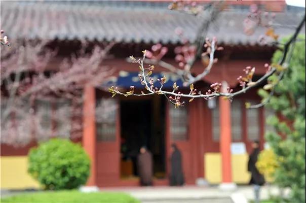 平常起烦恼忘了佛号,临终也自然会忘了 平常起烦恼忘了佛号,临终也自然会忘了