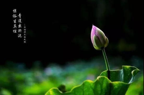 ӡ�ⷨʦ���̻����ˣ�Ҫ����ѭѭ����