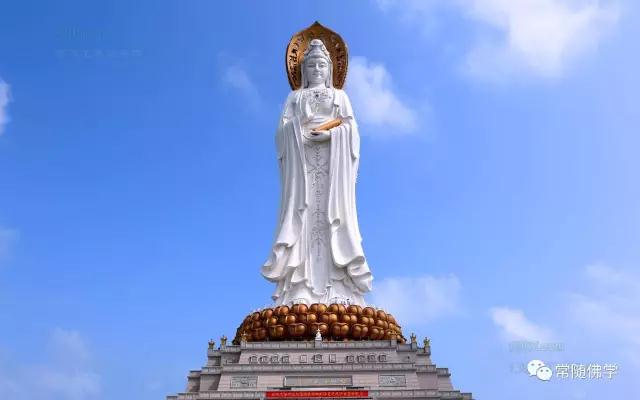 ��ϲ��ʦ���������������������ִ������������