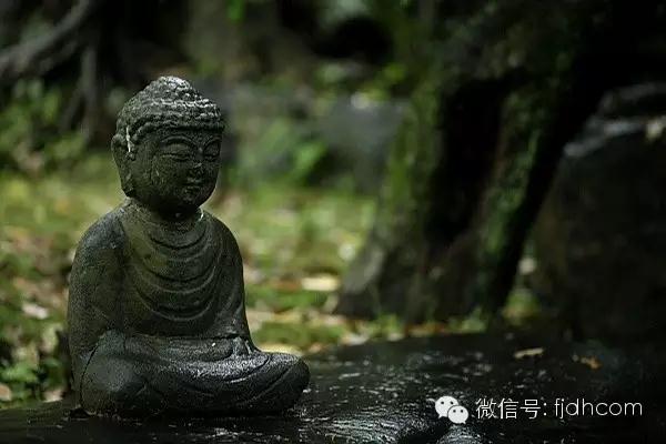 ���ģ������ĸ�������