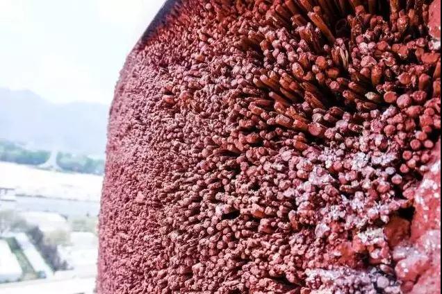 ѩ������_|_ʷ����ȫ���������ڲ���Ƭ�ع�