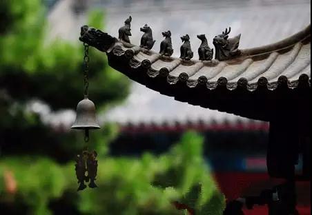 ���º�רע�����ĺܼ�֣�Ϊʲô������ǲ�����Ը��