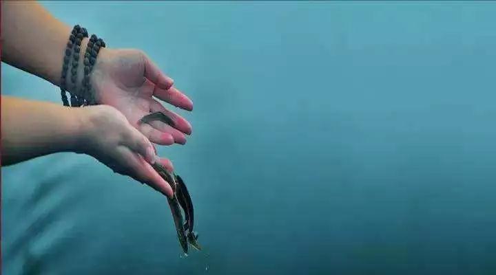 �����Ķ����Щ�Ѿ����ˣ�����Ҳδ�ػ�α��˷ѽ�Ǯ��