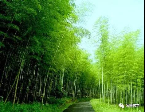 ��ͬ˼ά�������˲�ͬ������