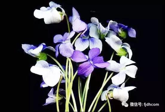 把家庭作为修行的道场,你会慢慢体会到其中的快乐! 把家庭作为修行的道场,你会慢慢体会到其中的快乐!