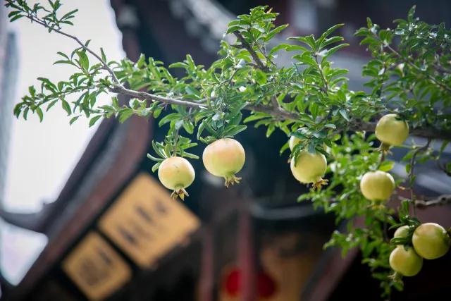 �ٸ��ӵ������Ӧ���������ǡ��������롰���ܡ�