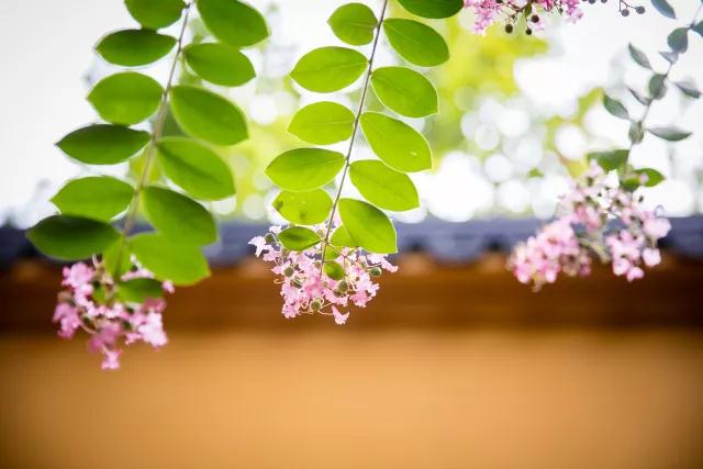 �ٸ��ӵ������Ӧ���������ǡ��������롰���ܡ�