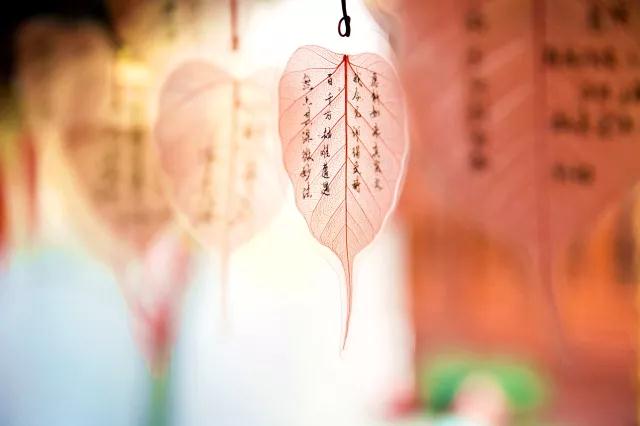 �ٸ��ӵ������Ӧ���������ǡ��������롰���ܡ�