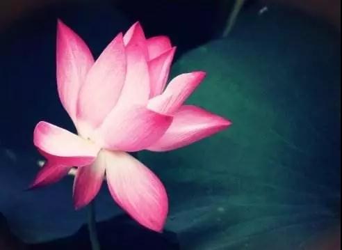 ���Ϊ�λ�Ҫ�޹ۣ�