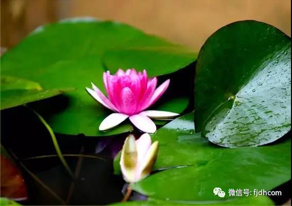 �����㣺���ʱ�������ã�