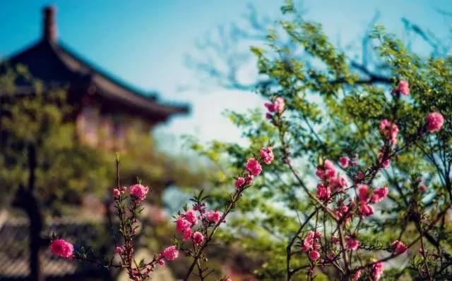 ��˵���Ĵ�Կա�������Ҫ��ȥ���Ĵ���?