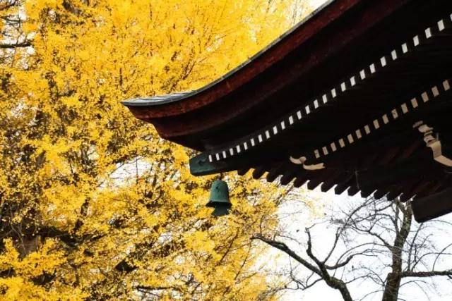 修行中,请你抓住潜伏内心的虚荣魔 修行中,请你抓住潜伏内心的虚荣魔