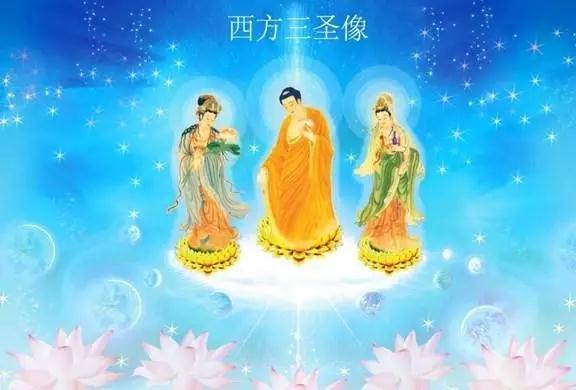 ���𻹻����ֻ���