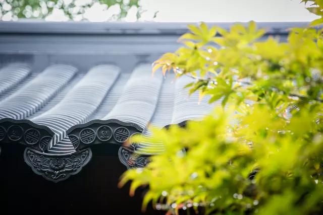 ���_|_��Ժ���幤���û�С����ꡱ��