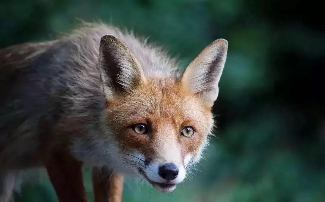 ʵ¼_|_�����������Ǿ�Ȼ�������������������ˣ�