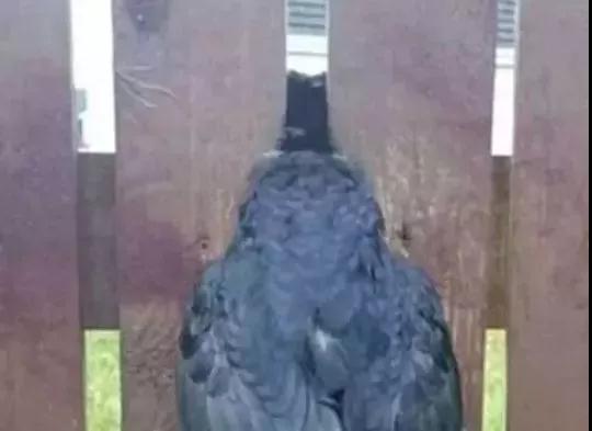 ʵ¼_|_�����������Ǿ�Ȼ�������������������ˣ�