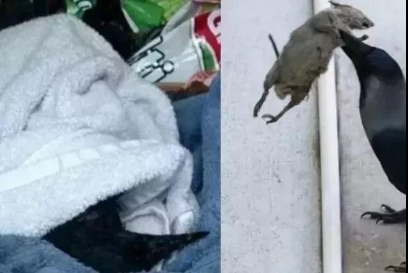 ʵ¼_|_�����������Ǿ�Ȼ�������������������ˣ�