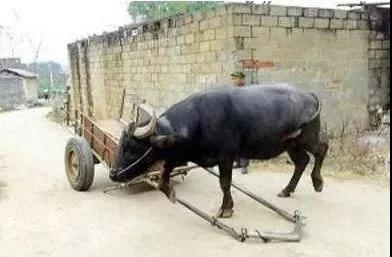 ʵ¼_|_�����������Ǿ�Ȼ�������������������ˣ�