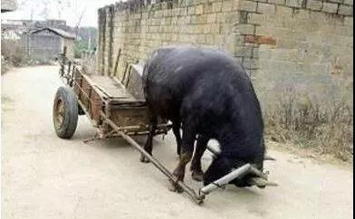 ʵ¼_|_�����������Ǿ�Ȼ�������������������ˣ�