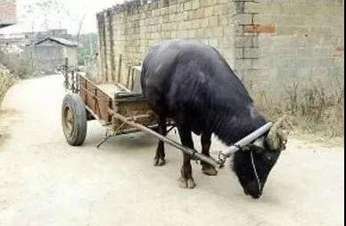 ʵ¼_|_�����������Ǿ�Ȼ�������������������ˣ�