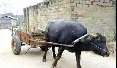 ʵ¼_|_�����������Ǿ�Ȼ�������������������ˣ�