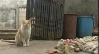 ʵ¼_|_�����������Ǿ�Ȼ�������������������ˣ�