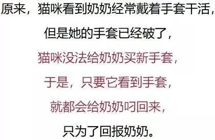 ʵ¼_|_�����������Ǿ�Ȼ�������������������ˣ�