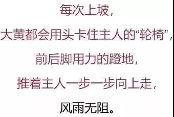 ʵ¼_|_�����������Ǿ�Ȼ�������������������ˣ�