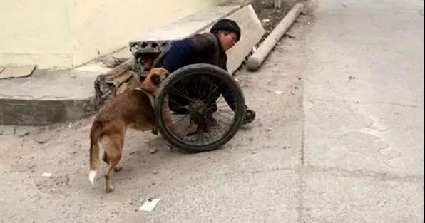 ʵ¼_|_�����������Ǿ�Ȼ�������������������ˣ�