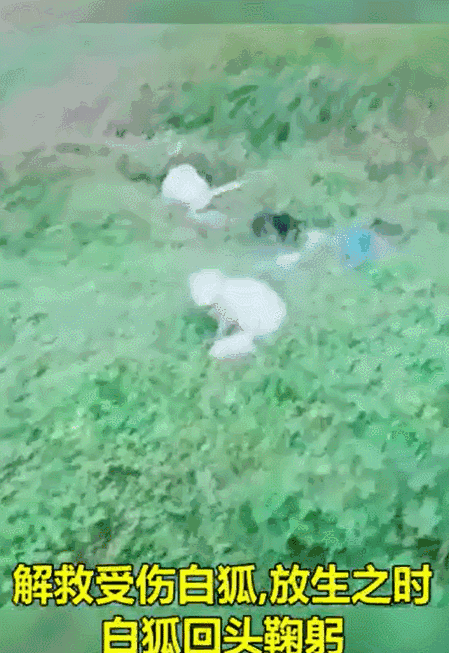 ʵ¼_|_�����������Ǿ�Ȼ�������������������ˣ�