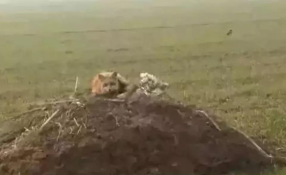 ʵ¼_|_�����������Ǿ�Ȼ�������������������ˣ�