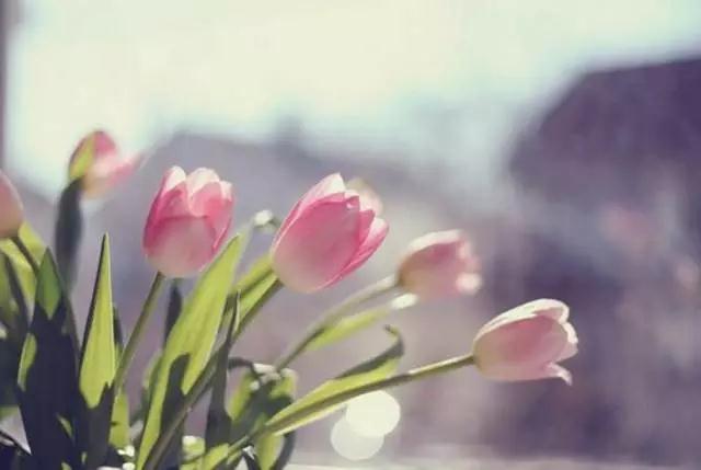 Ů�˱���������Ҫ������