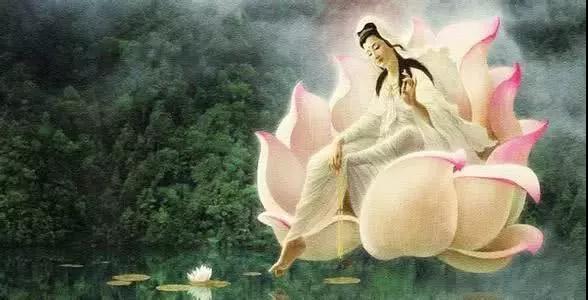 �����ĵĹ��¿�ʲô��ã�