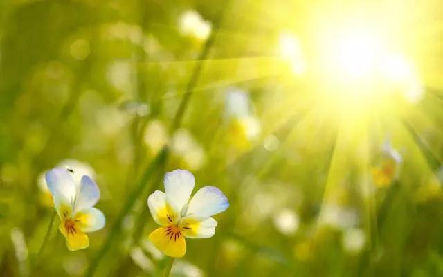 ��Ϊ�ȱ������Բ�����