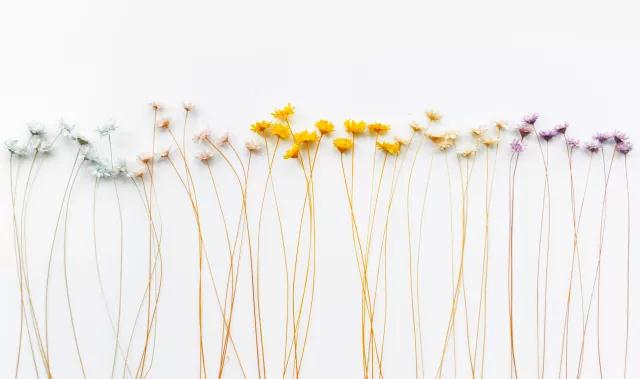 �ε�_|_ѧ����ô���꣬��ѧ��ж���ô��