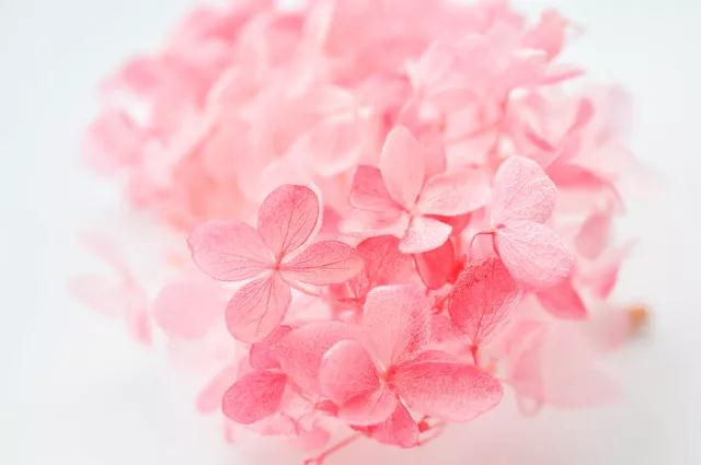 �ε�_|_ѧ����ô���꣬��ѧ��ж���ô��